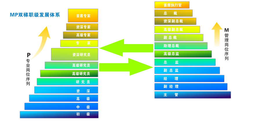 雙職級(jí)